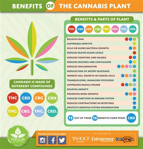  These interactions are what result in the potential health benefits a person or animal can experience when using CBD or other cannabinoids
